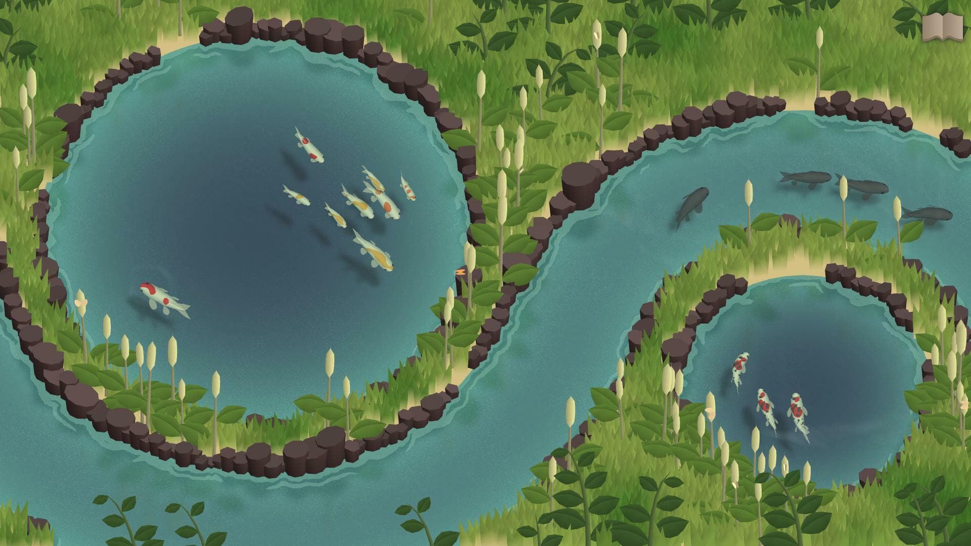 Koi Farm