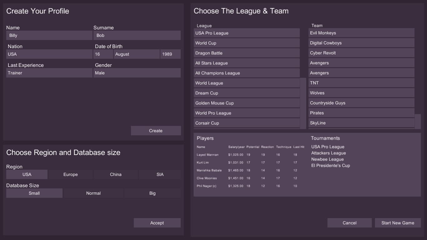 Cyber Team Manager