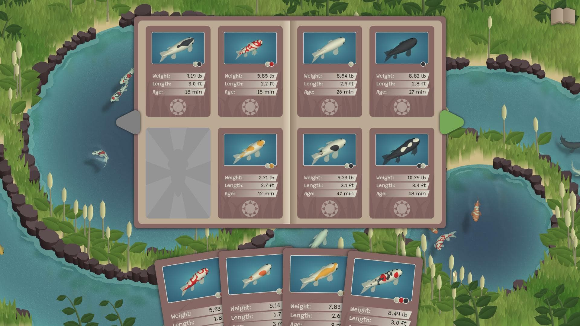 Koi Farm