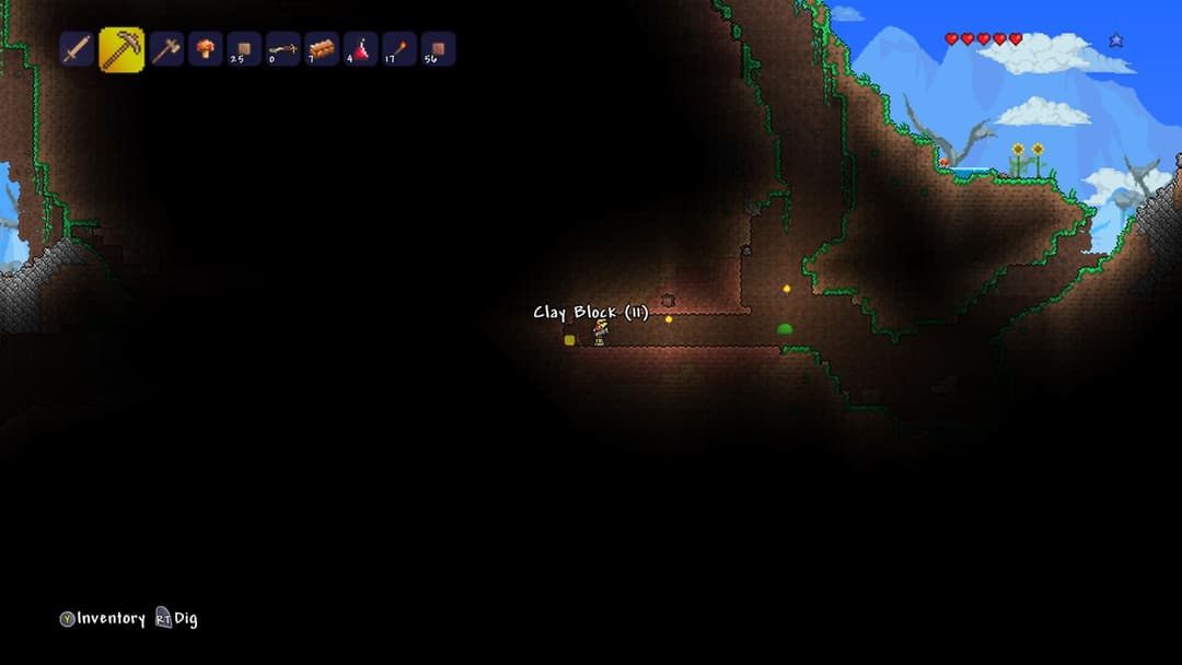 Terraria