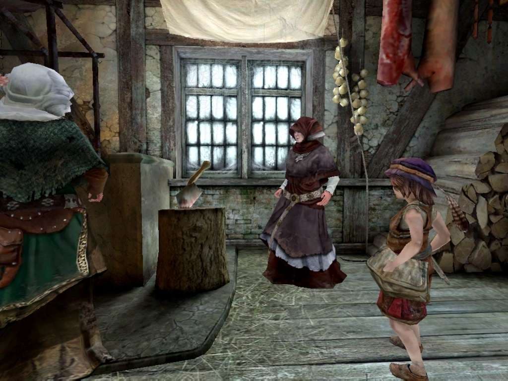 The Witcher