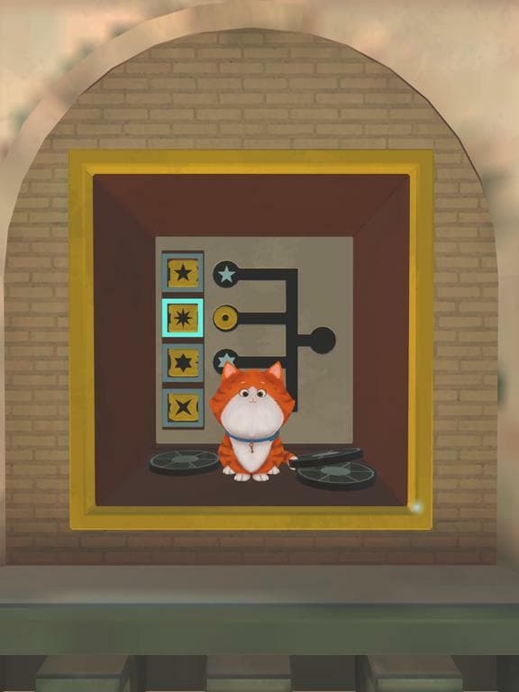 Cats in Time