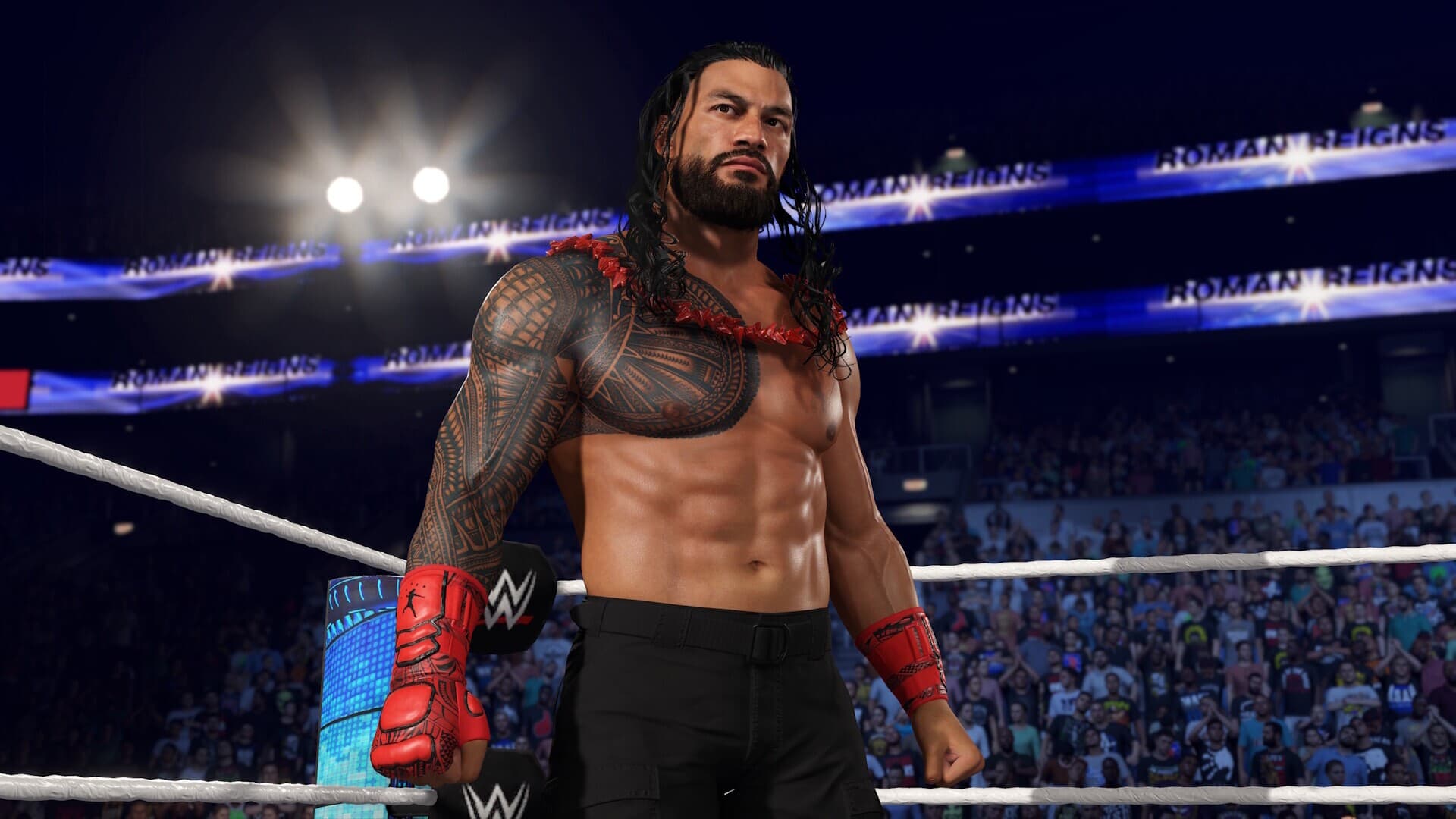 WWE 2K25