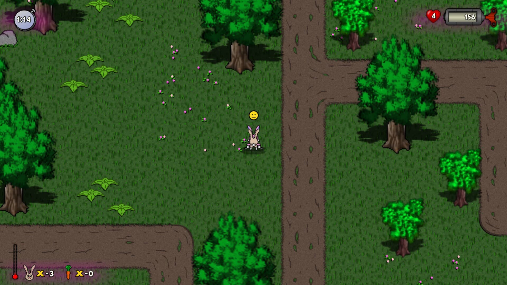 RUN HARE RUN