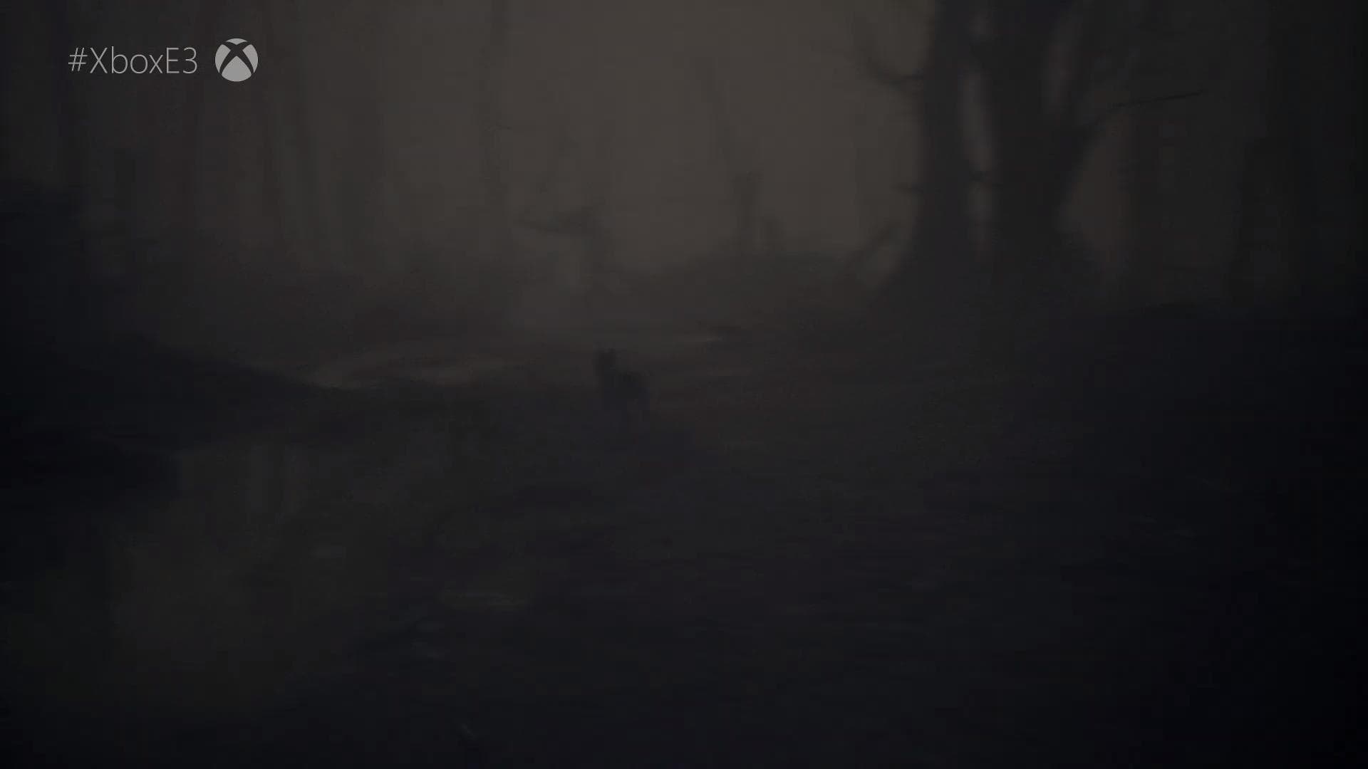 Blair Witch
