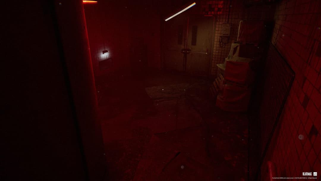 Karma: The Dark World