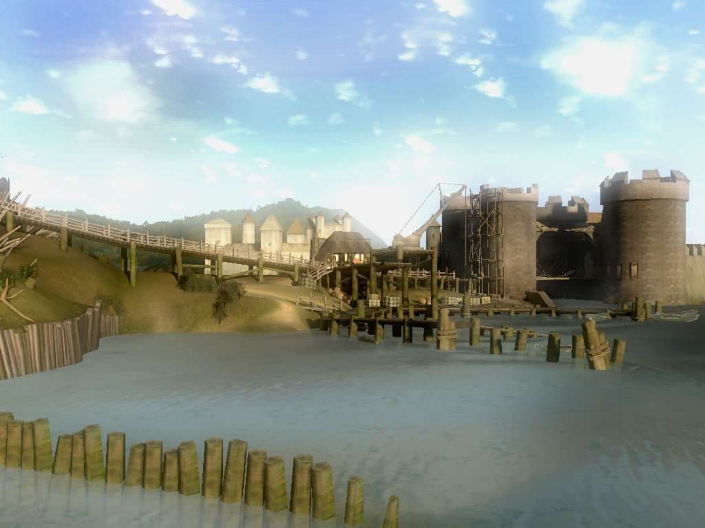 The Witcher
