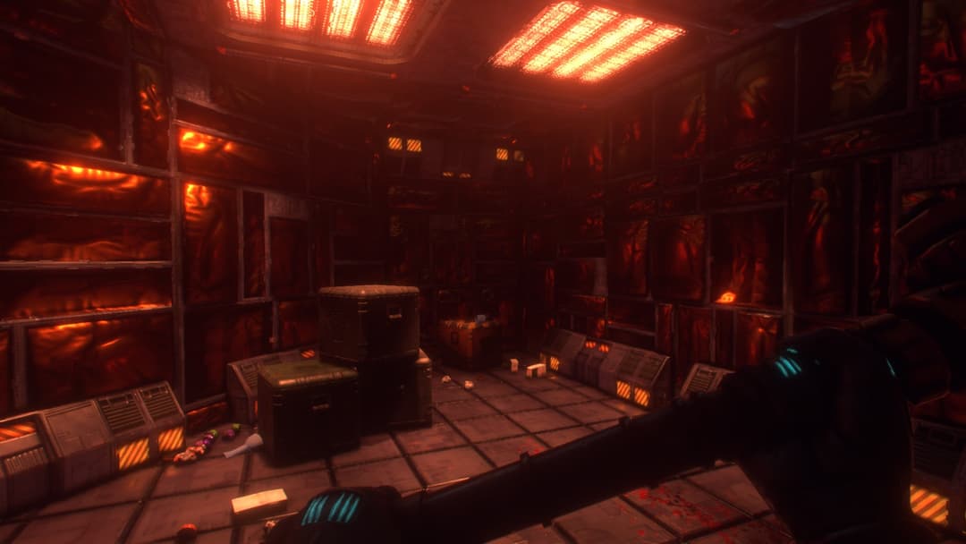 System Shock
