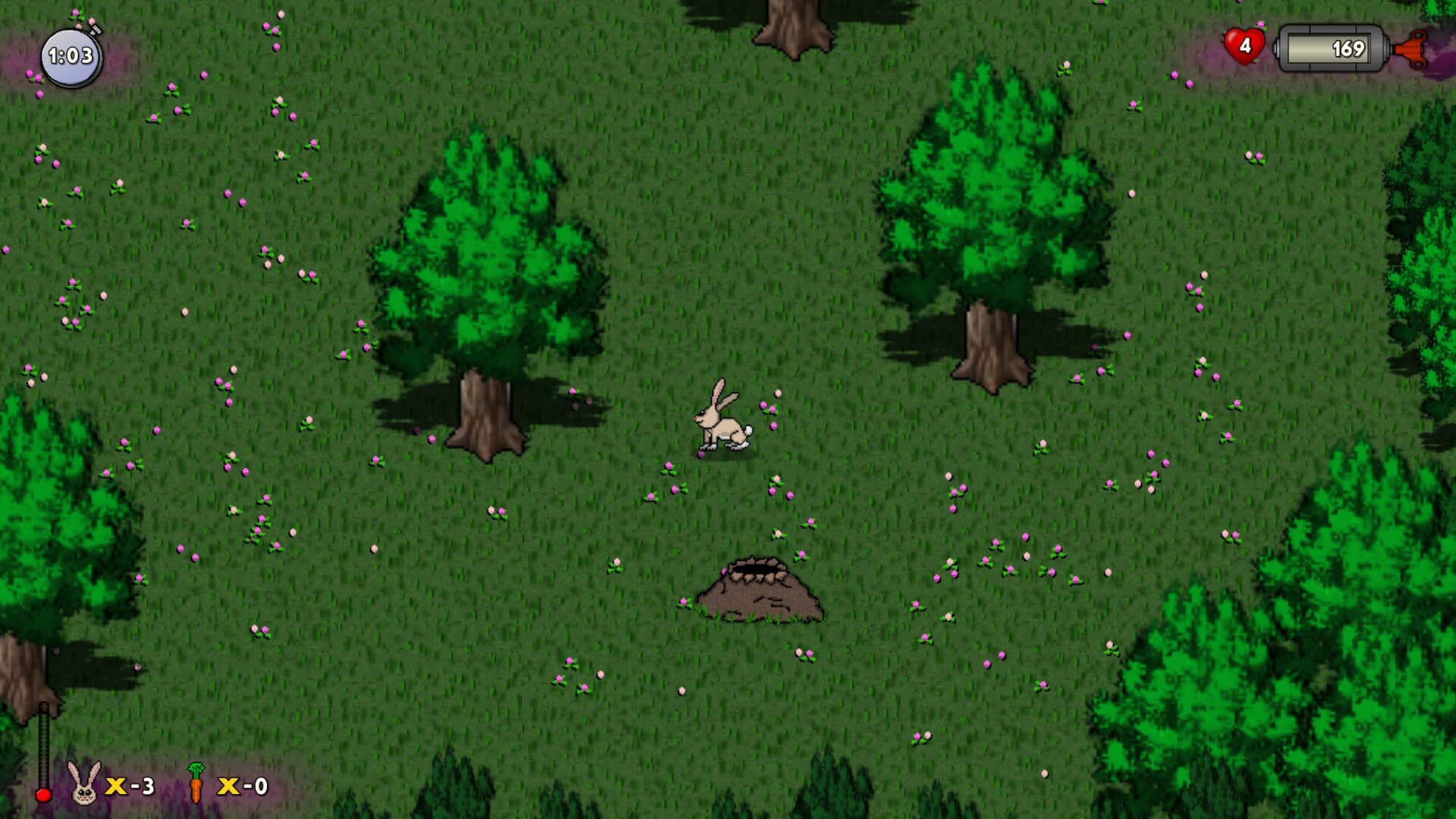RUN HARE RUN